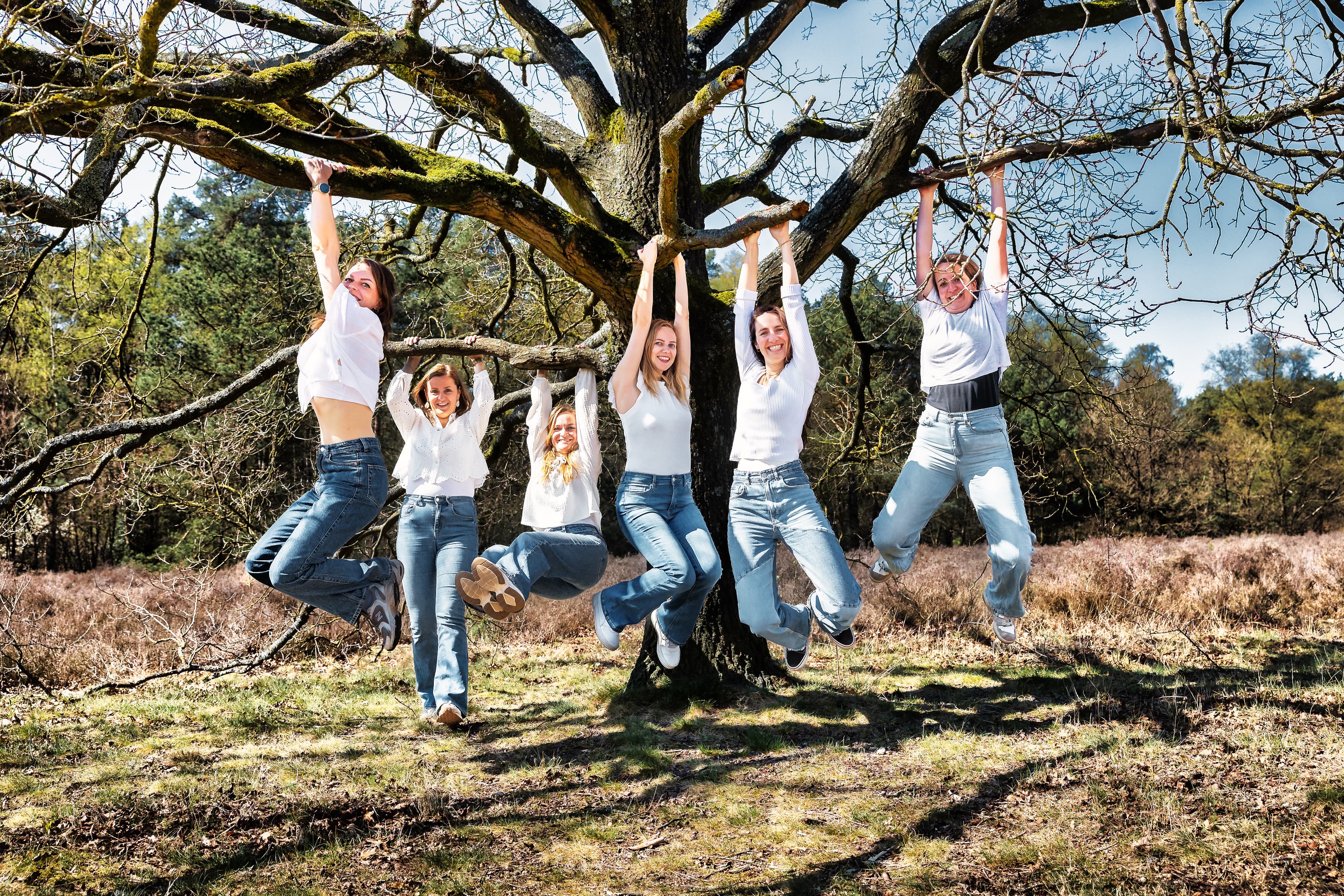 Zes vriendinnen gaan hangend aan takken op de foto in Otterlo